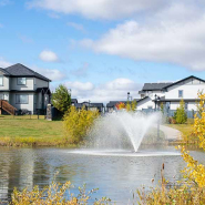 A neighbourhood pond