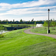 Ponds, Trails
